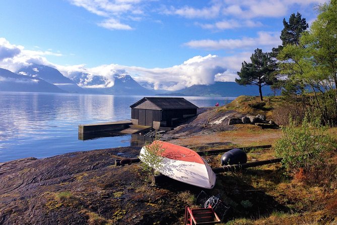 Viking Islands from Alesund: 5-Hour Private Group Tour - Waldehuset and the story of the 1904 fire