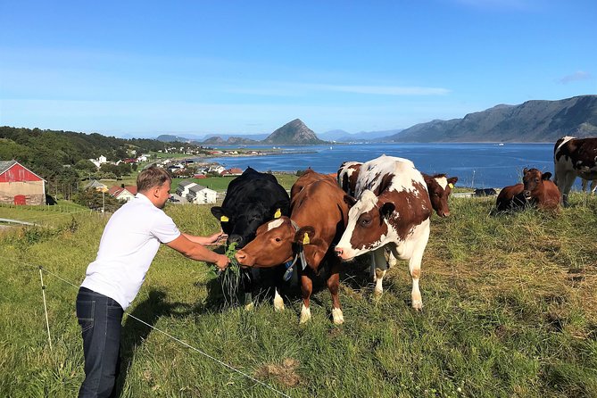 Viking Islands from Alesund: 5-Hour Private Group Tour - How the private format affects the price