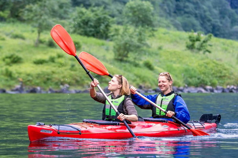 Vossevangen: Nærøyfjord Full-Day Guided Kayaking Trip - Who will enjoy this Nærøyfjord outing
