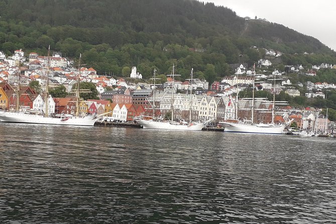 Walking tour: Medieval Spirit of Bergen + sweet Arctic gifts - Key points to know before you book