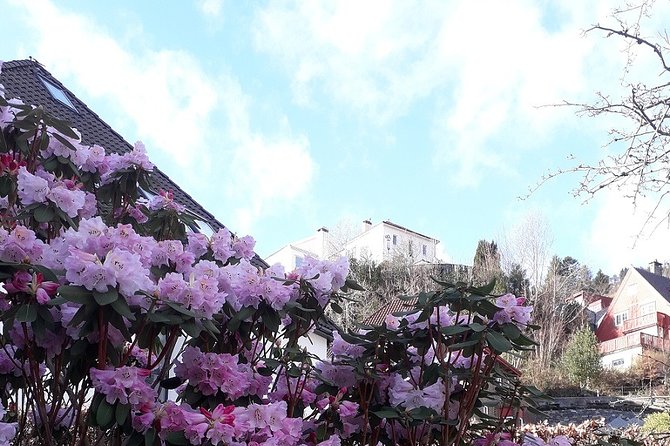 Walking tour: Medieval Spirit of Bergen + sweet Arctic gifts - A harbor start at Bergen’s Fish Market