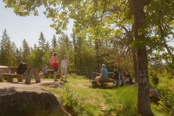 Wildlife Forest Hike - Is the $65 price good value?