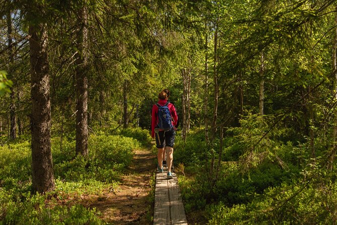 Wildlife Forest Hike - Group size, fitness, and practical comfort