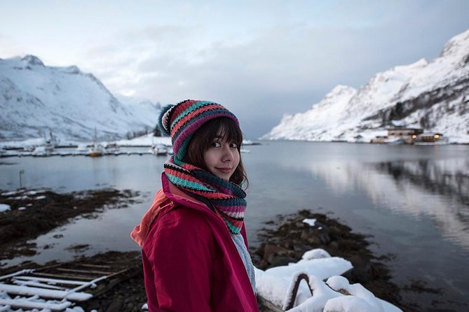 Winter Fjord Road Trip with Wandering Owl - Key points before you book