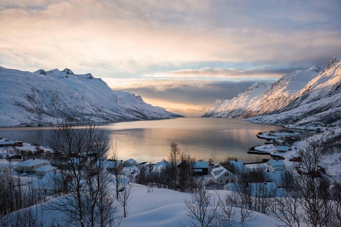 Winter Fjord Road Trip with Wandering Owl - Why leave Tromsø for Kvaløya?