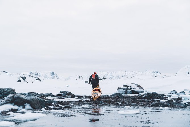 Winter Half Day Kayak Tour - Paddling the frozen coast from sea level