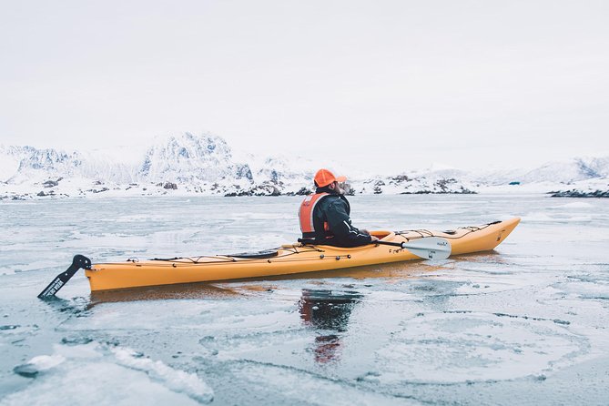 Winter Half Day Kayak Tour - Coffee, cookies, and a useful pause