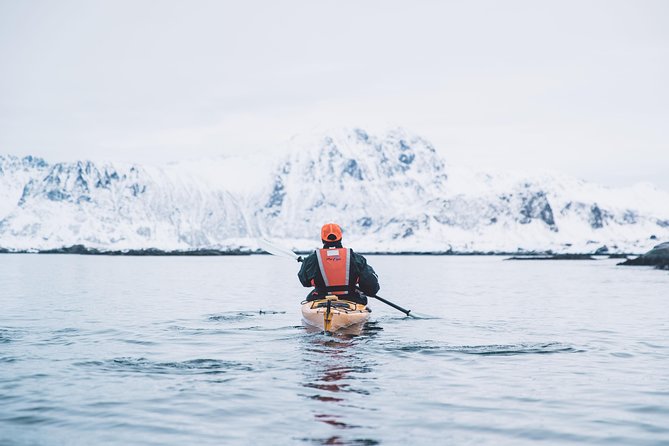 Winter Half Day Kayak Tour - How much value you get for $118.45