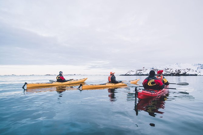 Winter Half Day Kayak Tour - Who should book this winter kayak trip